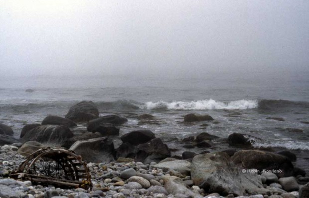 A washed up lobster trap on a rocky shore near Barrington Harbour, South Shore, Nova Scotia, Summer 1984. (Robin Rowland)