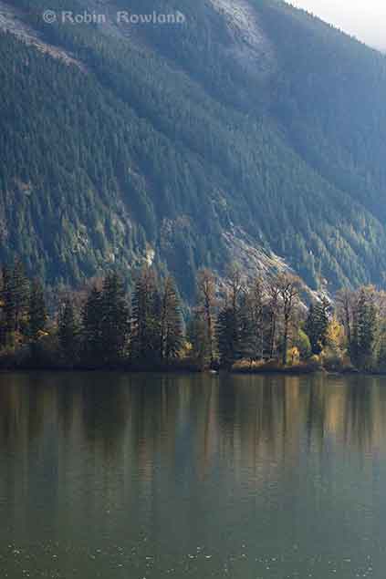 Fall colours on the Skeena