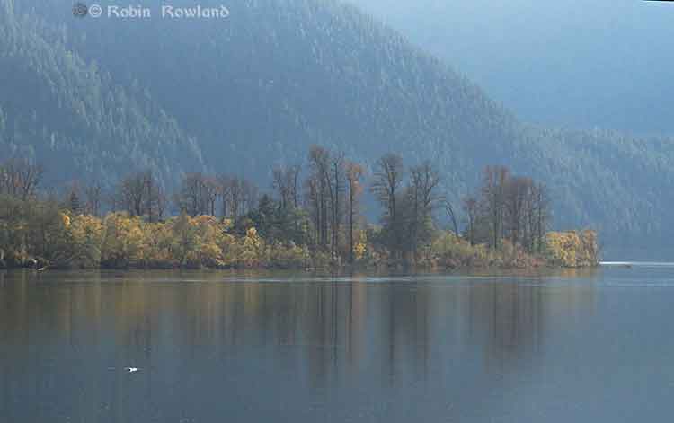 Fall on the Skeena