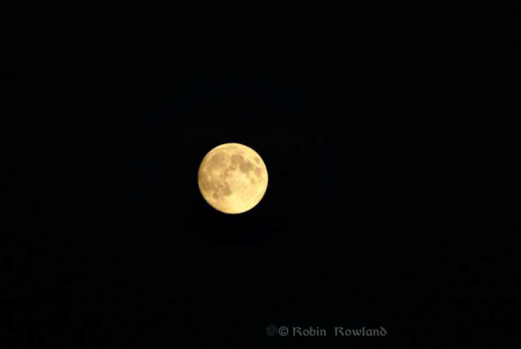 Super moon over Vancouver