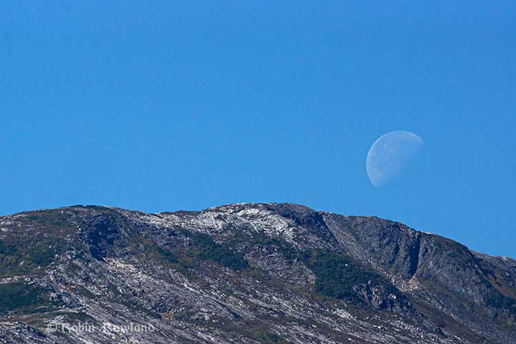 Moon sets over Hawkesbury