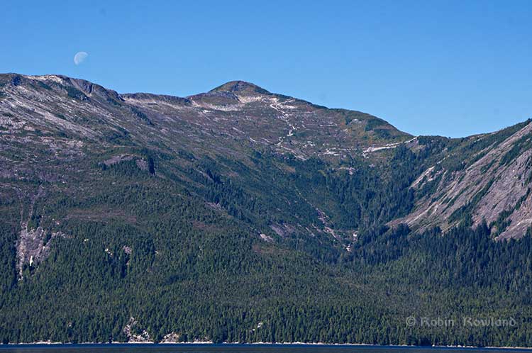 Moon over Hawkesbury Island