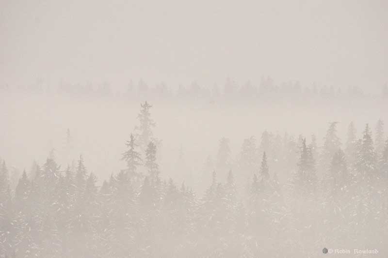 Fog in Kitimat Valley