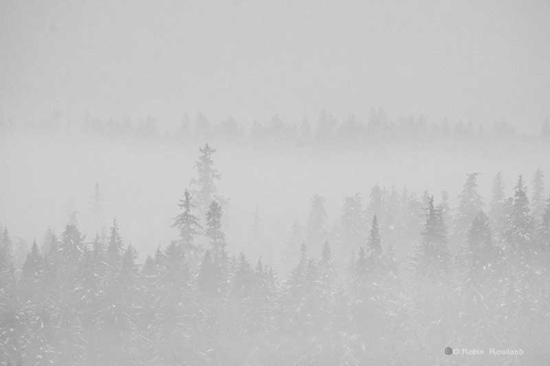 Fog in Kitimat Valley