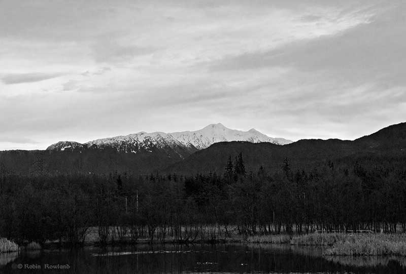 Mt. Elizabeth and a lagoon in the estuary