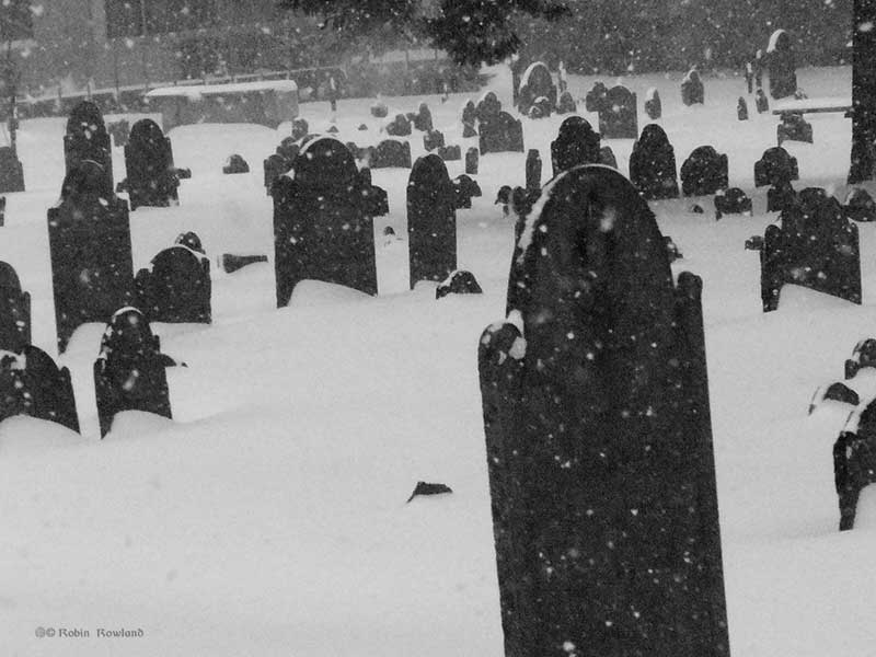 Harvard Yard in the Boston blizzard of 2003