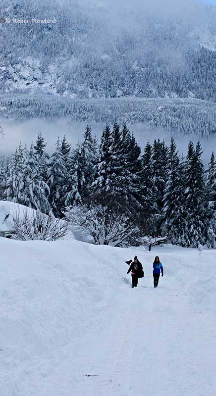 walking isn snow