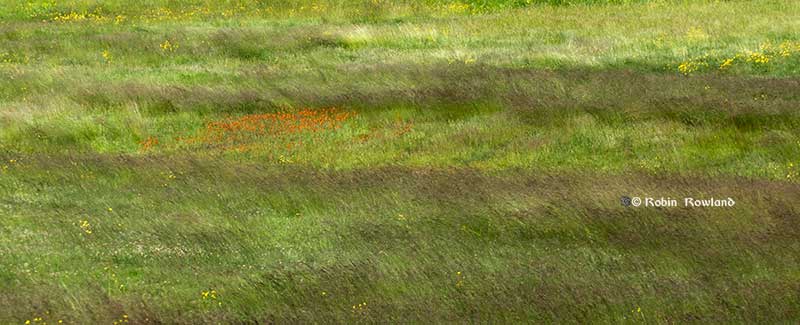 Impressions of a rewilded Kitimat