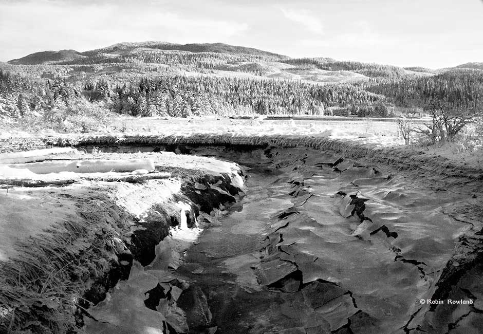 Minette_frozencreek1bw