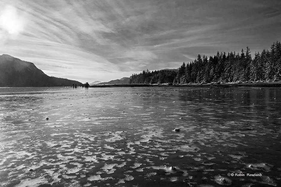 Minette_mudflats1bw