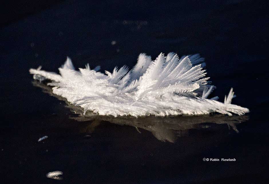 icecrystal1