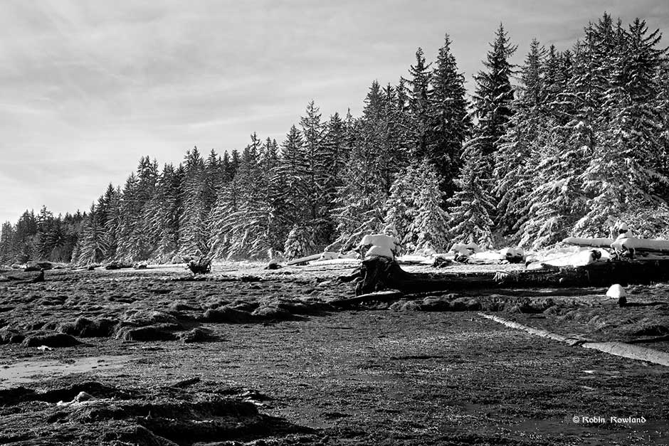 minettebeach_1bw