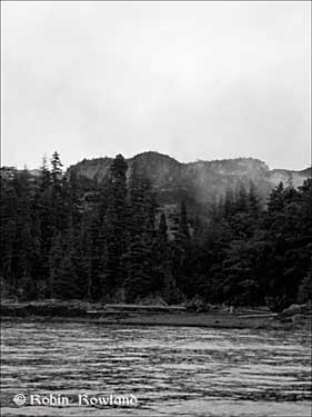 475-Bish-Cove-July-27-_4bw.jpg