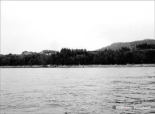 476-Bish-Cove-July-27-_1bw.jpg