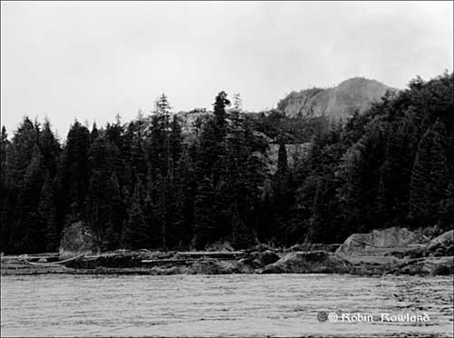 478-Bish-Cove-July-27-_3bw.jpg