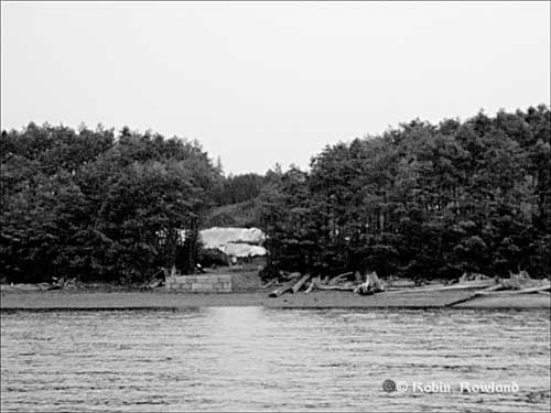 479-Bish-Cove-July-27-_5bw.jpg